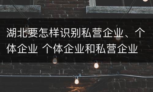 湖北要怎样识别私营企业、个体企业 个体企业和私营企业