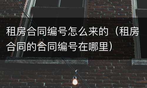 租房合同编号怎么来的（租房合同的合同编号在哪里）