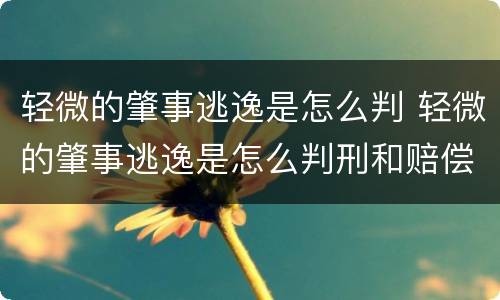 轻微的肇事逃逸是怎么判 轻微的肇事逃逸是怎么判刑和赔偿