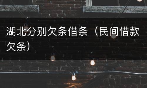 湖北分别欠条借条（民间借款欠条）