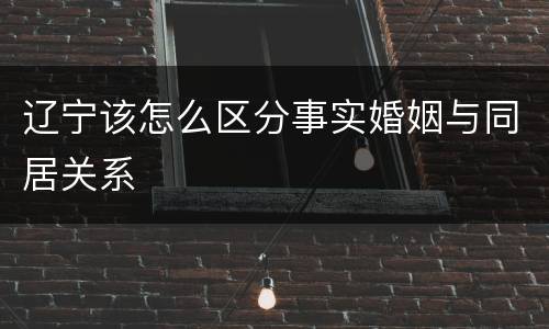 辽宁该怎么区分事实婚姻与同居关系