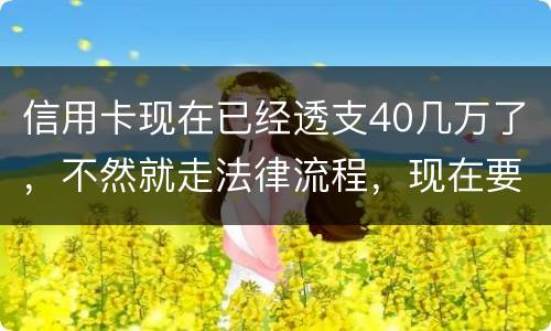 信用卡现在已经透支40几万了，不然就走法律流程，现在要怎样办