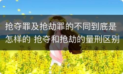 抢夺罪及抢劫罪的不同到底是怎样的 抢夺和抢劫的量刑区别
