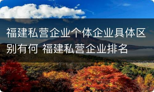 福建私营企业个体企业具体区别有何 福建私营企业排名
