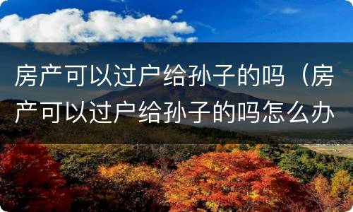 房产可以过户给孙子的吗（房产可以过户给孙子的吗怎么办）