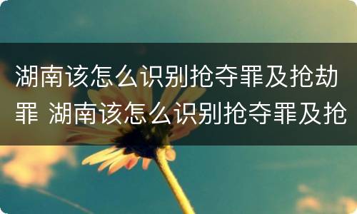 湖南该怎么识别抢夺罪及抢劫罪 湖南该怎么识别抢夺罪及抢劫罪的案件