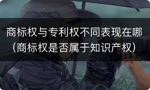 商标权与专利权不同表现在哪（商标权是否属于知识产权）