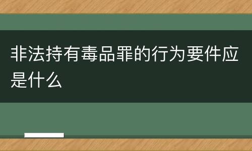 非法持有毒品罪的行为要件应是什么
