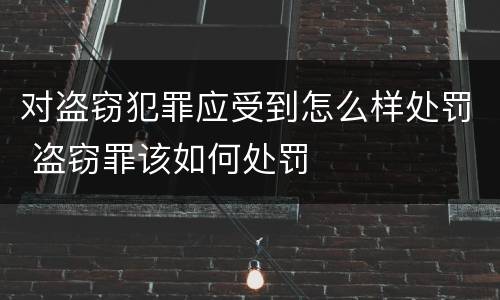 对盗窃犯罪应受到怎么样处罚 盗窃罪该如何处罚