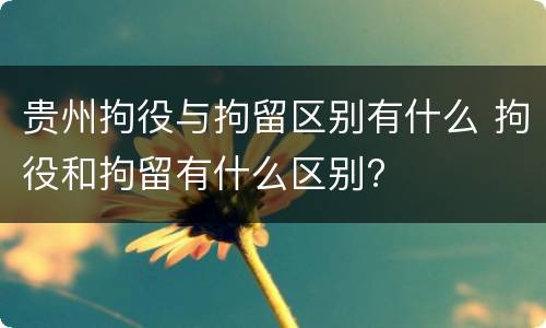 贵州拘役与拘留区别有什么 拘役和拘留有什么区别?