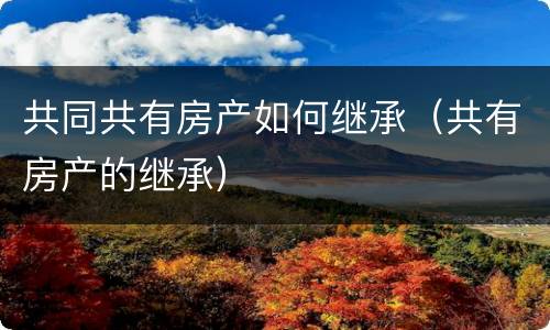 共同共有房产如何继承（共有房产的继承）