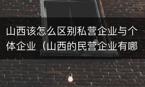 山西该怎么区别私营企业与个体企业（山西的民营企业有哪些）