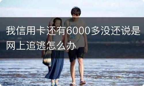 我信用卡还有6000多没还说是网上追逃怎么办