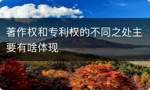著作权和专利权的不同之处主要有啥体现