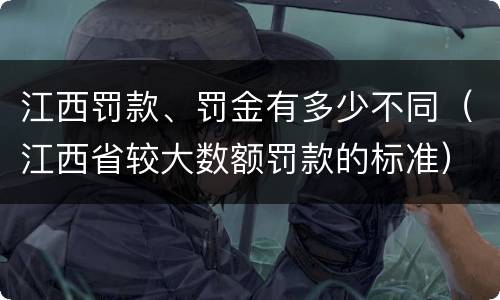 江西罚款、罚金有多少不同（江西省较大数额罚款的标准）