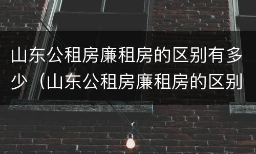 山东公租房廉租房的区别有多少（山东公租房廉租房的区别有多少个）