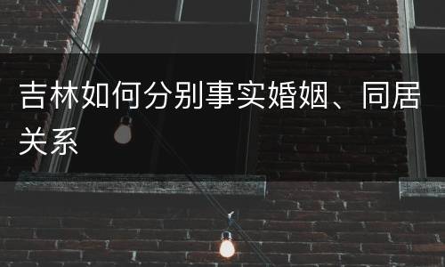 吉林如何分别事实婚姻、同居关系
