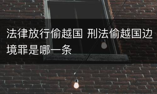 法律放行偷越国 刑法偷越国边境罪是哪一条
