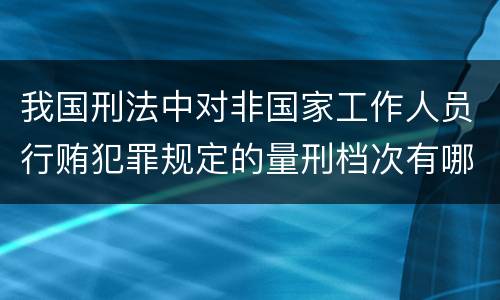 我国刑法中对非国家工作人员行贿犯罪规定的量刑档次有哪些