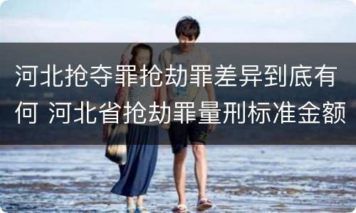 河北抢夺罪抢劫罪差异到底有何 河北省抢劫罪量刑标准金额