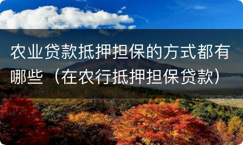 农业贷款抵押担保的方式都有哪些（在农行抵押担保贷款）