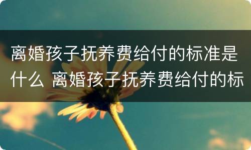 离婚孩子抚养费给付的标准是什么 离婚孩子抚养费给付的标准是什么意思