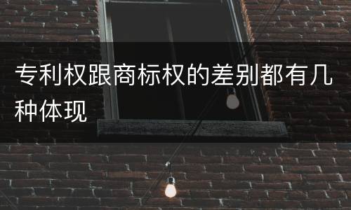 专利权跟商标权的差别都有几种体现