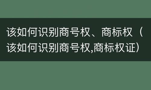 该如何识别商号权、商标权（该如何识别商号权,商标权证）