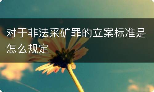 对于非法采矿罪的立案标准是怎么规定