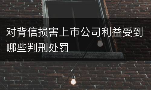 对背信损害上市公司利益受到哪些判刑处罚