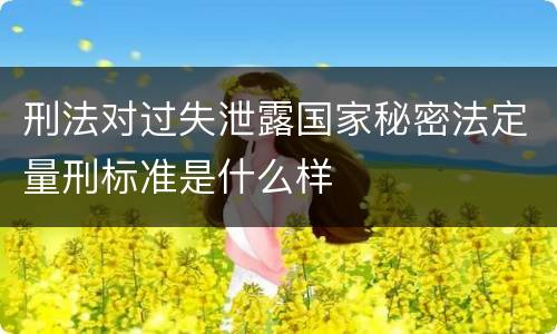 刑法对过失泄露国家秘密法定量刑标准是什么样