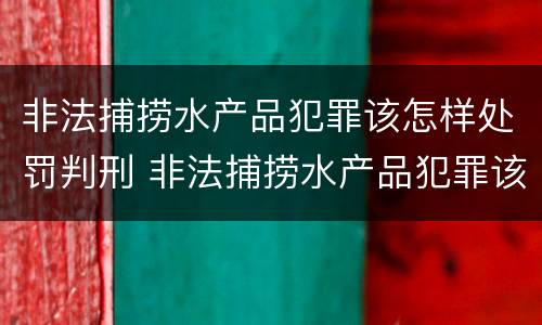 非法捕捞水产品犯罪该怎样处罚判刑 非法捕捞水产品犯罪该怎样处罚判刑的