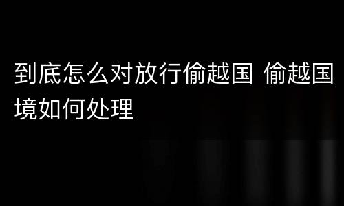 到底怎么对放行偷越国 偷越国境如何处理