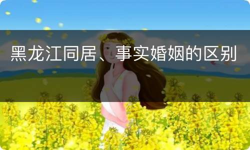 黑龙江同居、事实婚姻的区别