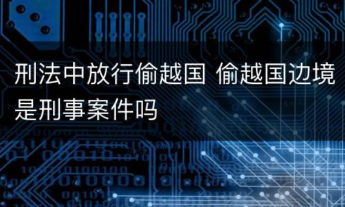 刑法中放行偷越国 偷越国边境是刑事案件吗