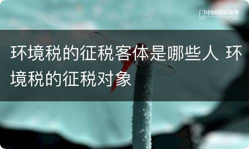 环境税的征税客体是哪些人 环境税的征税对象