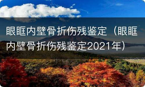 眼眶内壁骨折伤残鉴定（眼眶内壁骨折伤残鉴定2021年）