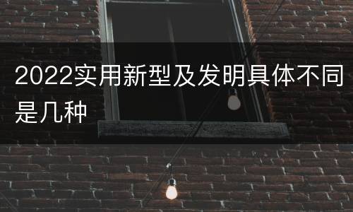2022实用新型及发明具体不同是几种
