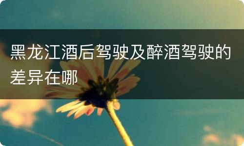 黑龙江酒后驾驶及醉酒驾驶的差异在哪