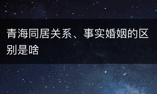 青海同居关系、事实婚姻的区别是啥
