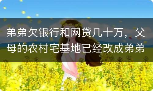 弟弟欠银行和网贷几十万，父母的农村宅基地已经改成弟弟名字，母亲还健在，宅基地和房