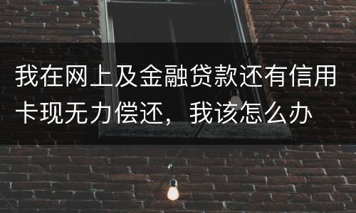 我在网上及金融贷款还有信用卡现无力偿还，我该怎么办