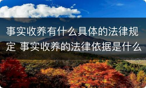 事实收养有什么具体的法律规定 事实收养的法律依据是什么
