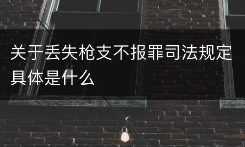 关于丢失枪支不报罪司法规定具体是什么