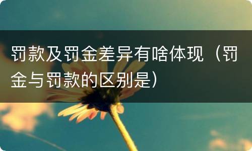 罚款及罚金差异有啥体现（罚金与罚款的区别是）