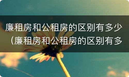 廉租房和公租房的区别有多少（廉租房和公租房的区别有多少年了）