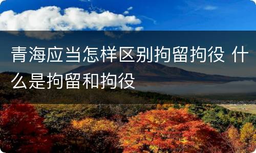 青海应当怎样区别拘留拘役 什么是拘留和拘役