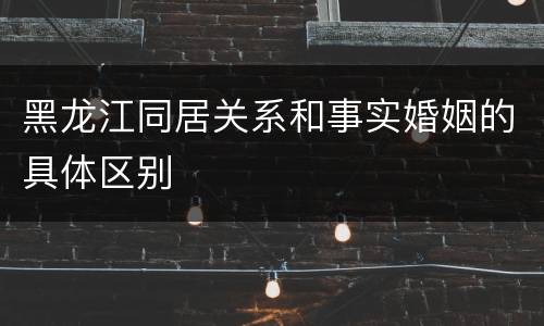 黑龙江同居关系和事实婚姻的具体区别