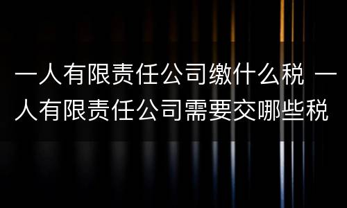 一人有限责任公司缴什么税 一人有限责任公司需要交哪些税