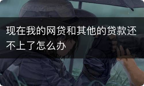 现在我的网贷和其他的贷款还不上了怎么办